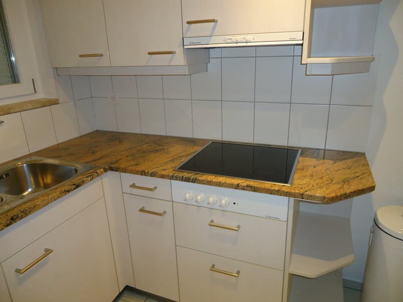 helle, sonnige, ruhige, renovierte 3-Zimmer-Wohnung mit Gartensitzplatz (12)