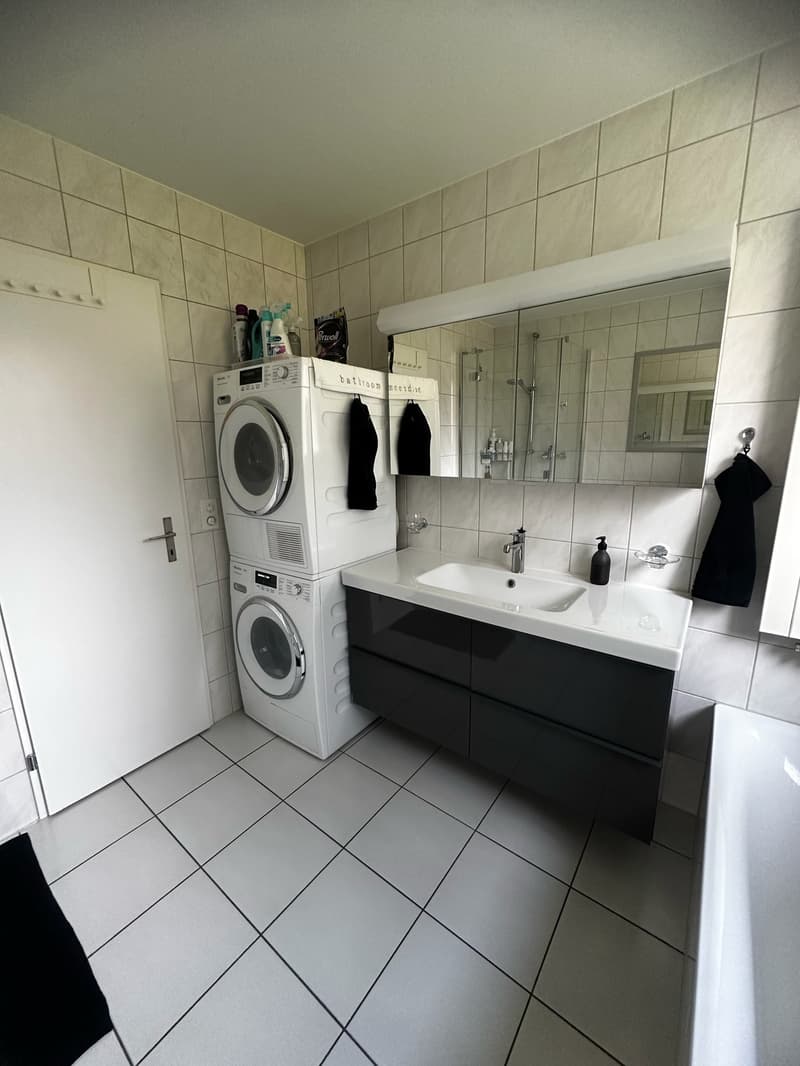 helle, sonnige, ruhige, renovierte 3-Zimmer-Wohnung mit Gartensitzplatz (16)