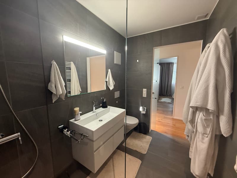 Helle, klimatisierte 2.5-Zimmer Wohnung mit Balkon und Tiefgaragenparkplatz (12)