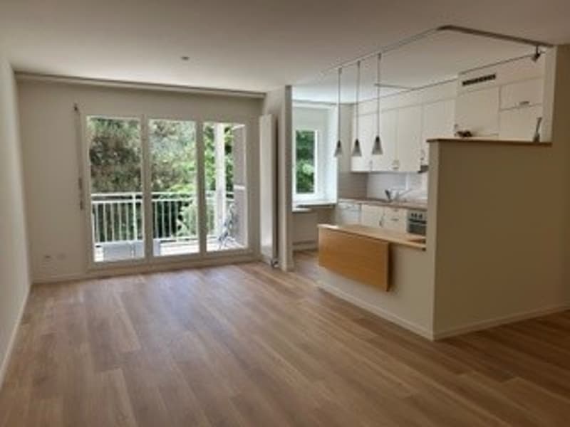 helle, sonnige, ruhige, renovierte 2-Zimmer-Wohnung mit Balkon an ruhiger Lage in Basel (2)