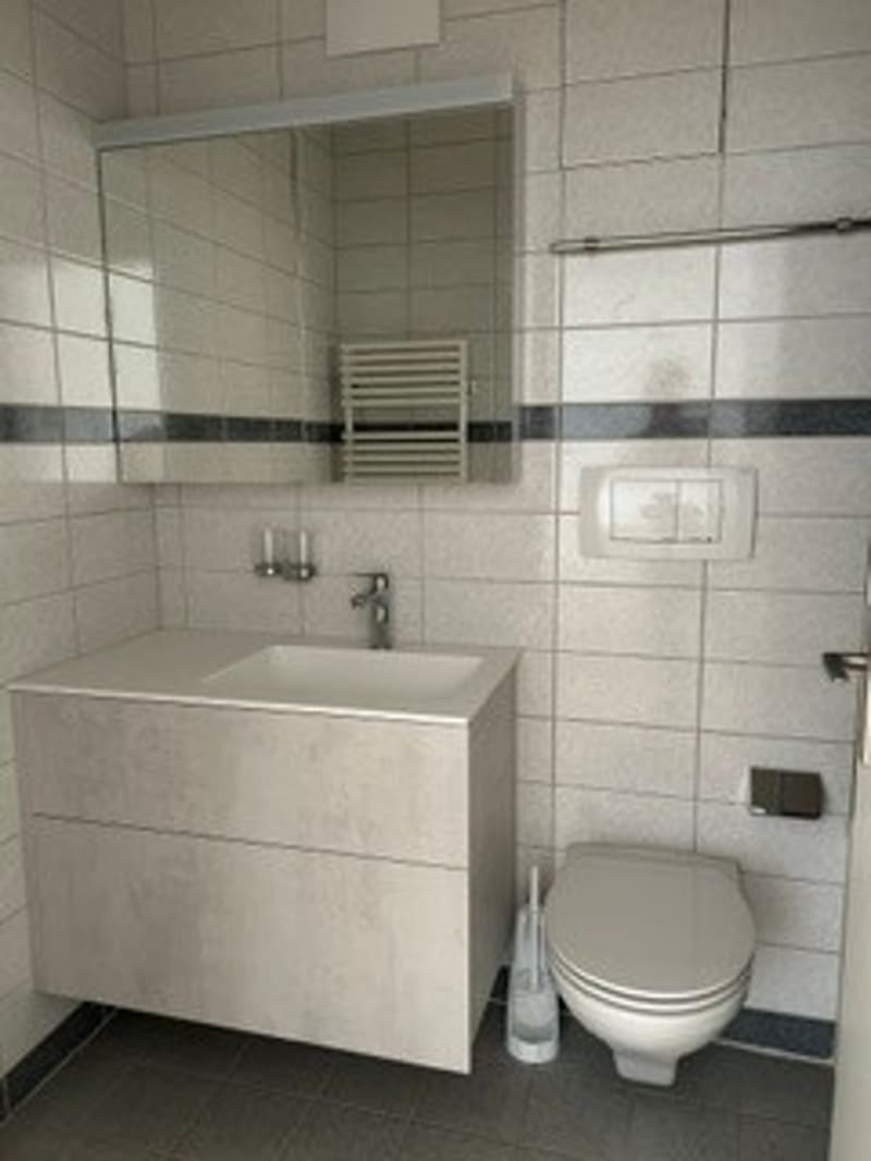 helle, sonnige, ruhige, renovierte 2-Zimmer-Wohnung mit Balkon an ruhiger Lage in Basel (6)
