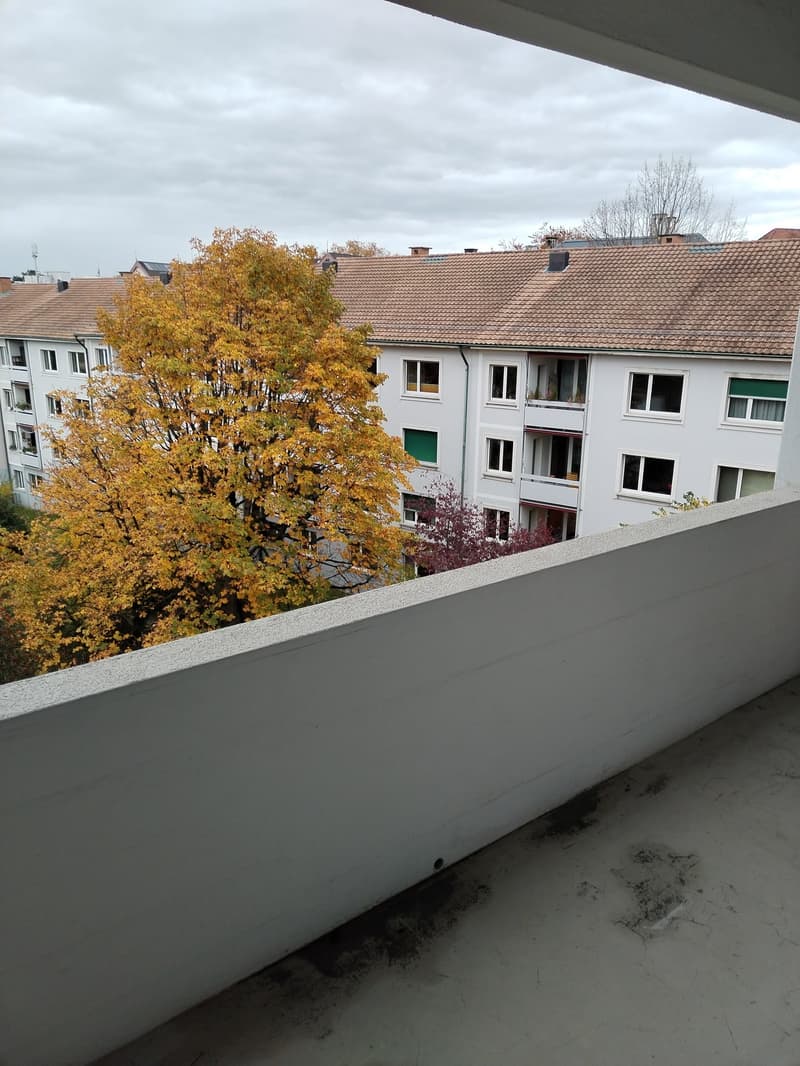 helle 2-Zimmer Wohnung mit Balkon (10)