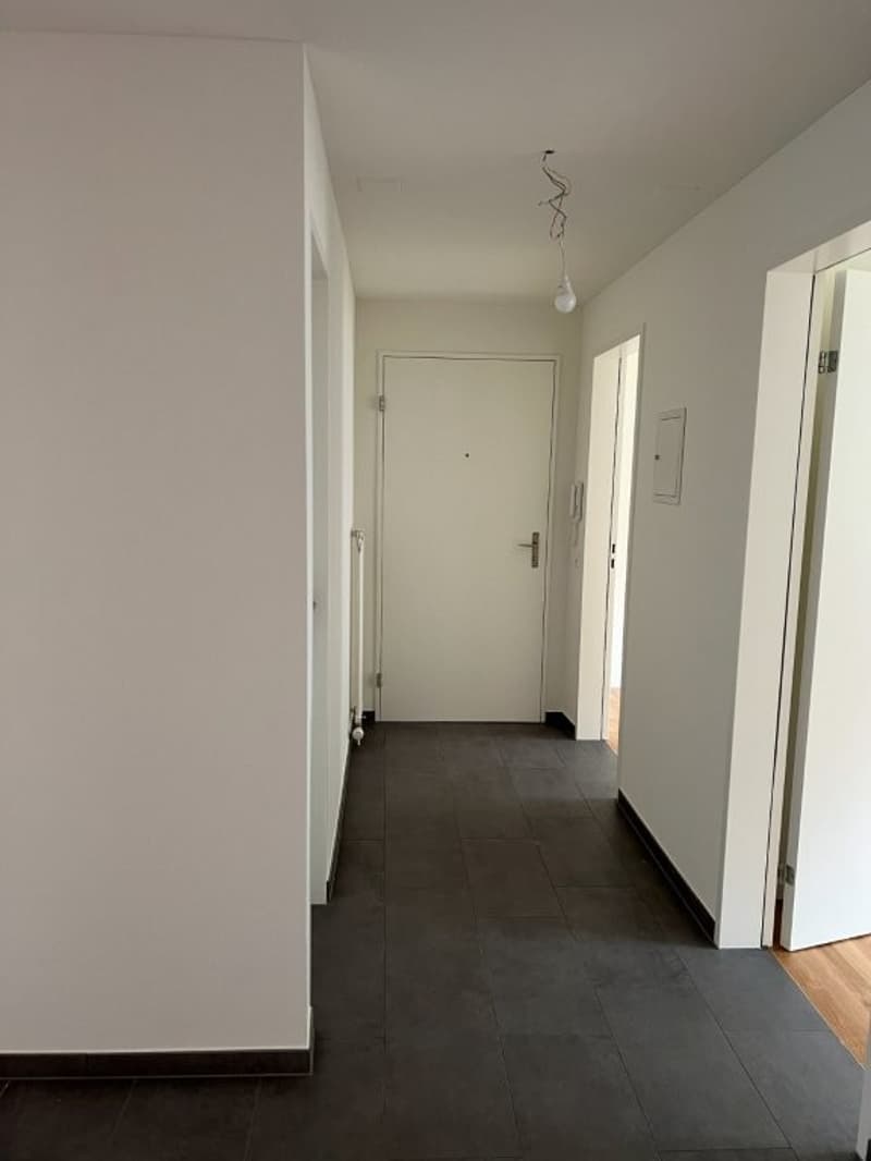 4.5-Zimmer Wohnung mit gedecktem Südbalkon, Gartensitzplatz und Lift (3)