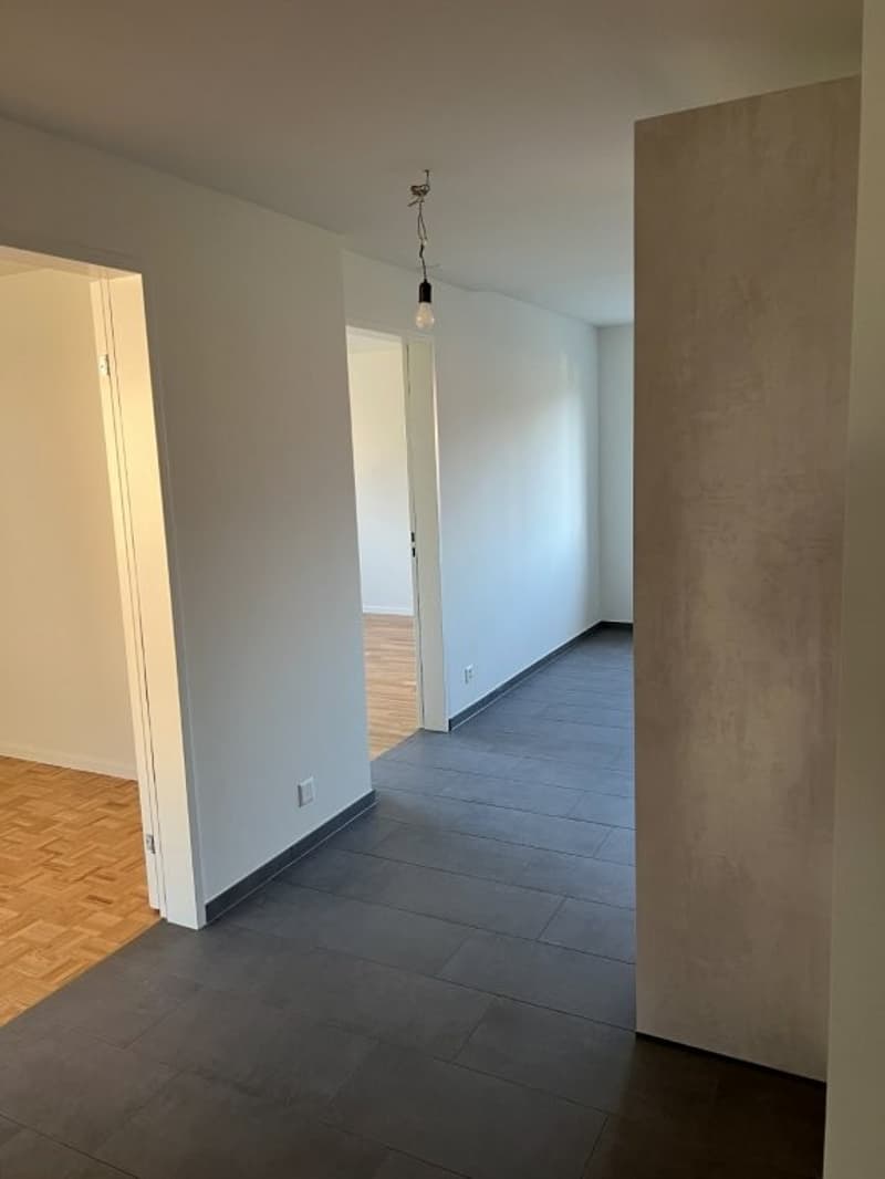 4.5-Zimmer Wohnung mit gedecktem Südbalkon, Gartensitzplatz und Lift (7)