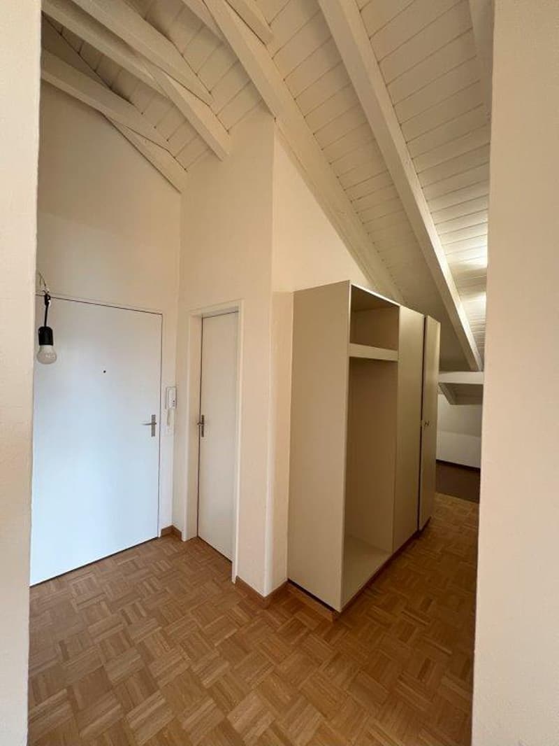 2.5-Zimmer Dachwohnung mit gedeckter Loggia und Lift (3)
