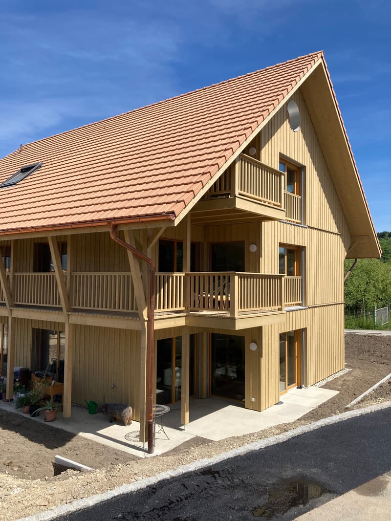 Appartement en mansarde de 4,5 pièces avec galerie (2)