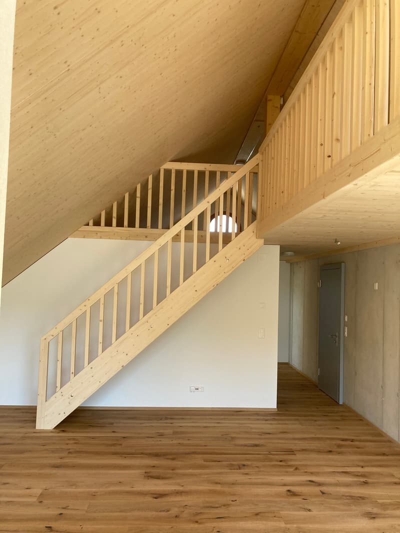 Appartement en mansarde de 4,5 pièces avec galerie (4)