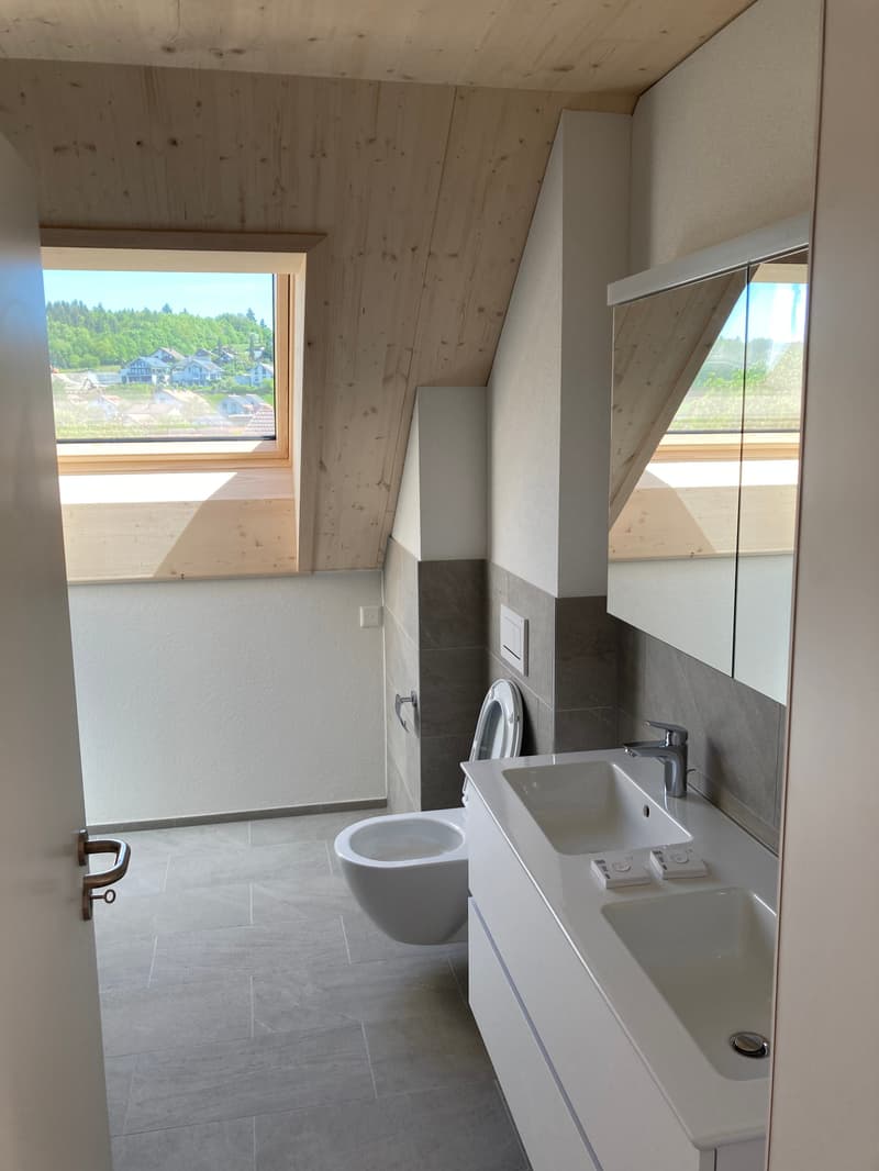 Appartement en mansarde de 4,5 pièces avec galerie (3)