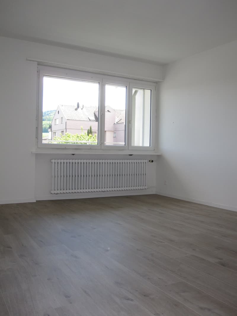2019 renovierte 3 1/2 Zi-Wohnung mit grossem Balkon und Weitsicht (11)