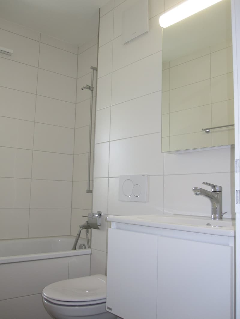 2019 renovierte 3 1/2 Zi-Wohnung mit grossem Balkon und Weitsicht (13)