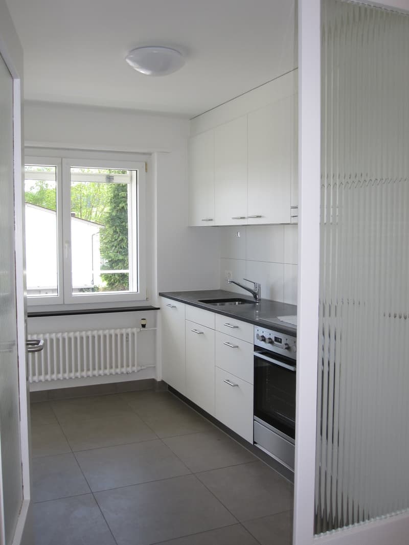 2019 renovierte 3 1/2 Zi-Wohnung mit grossem Balkon und Weitsicht (9)