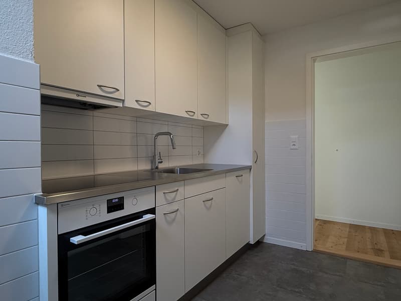 teilsanierte, schöne 3.5 Zimmer Altbauwohnung mit grossem Wohnzimmer (7)