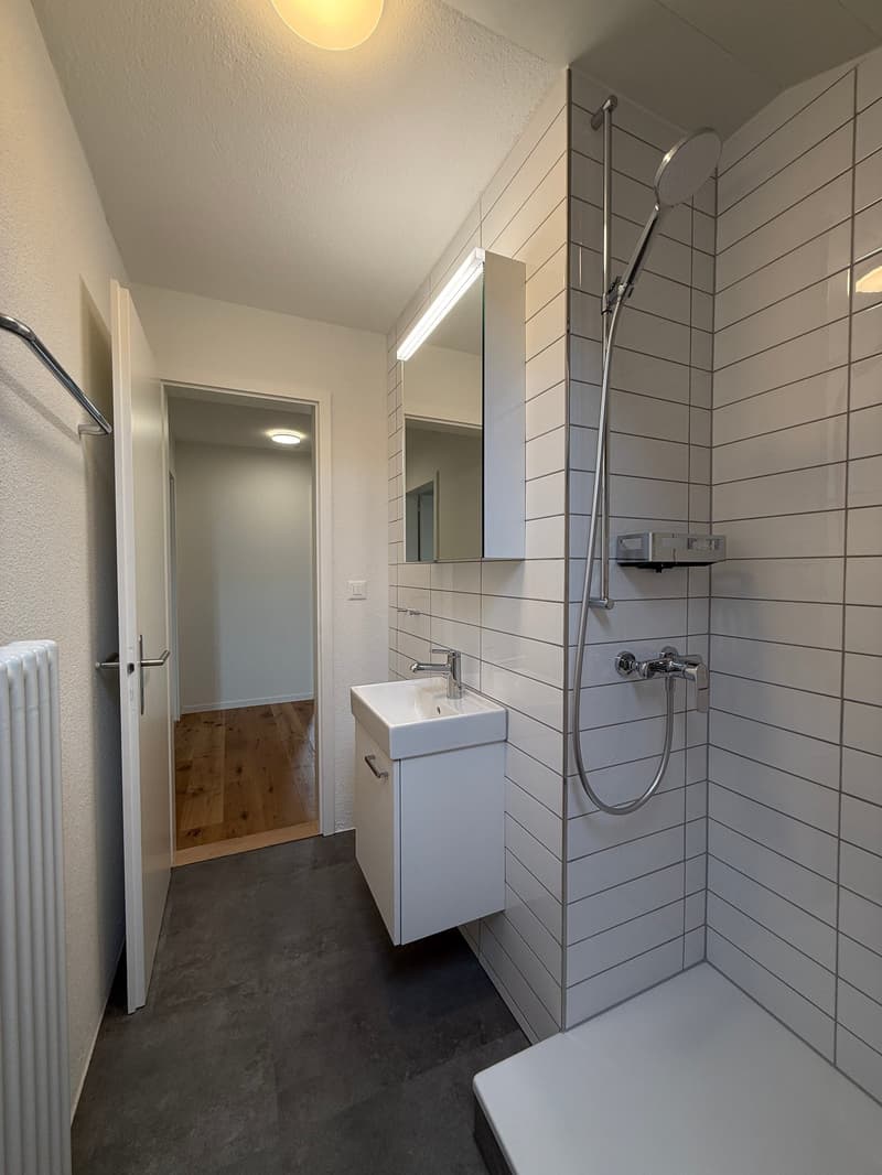 teilsanierte, schöne 3.5 Zimmer Altbauwohnung mit grossem Wohnzimmer (10)