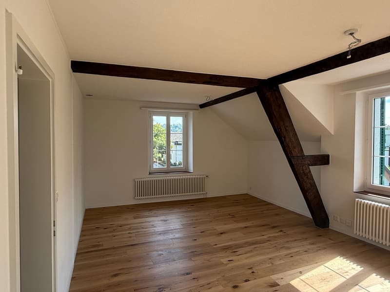 teilsanierte, schöne 3.5 Zimmer Altbauwohnung mit grossem Wohnzimmer (4)