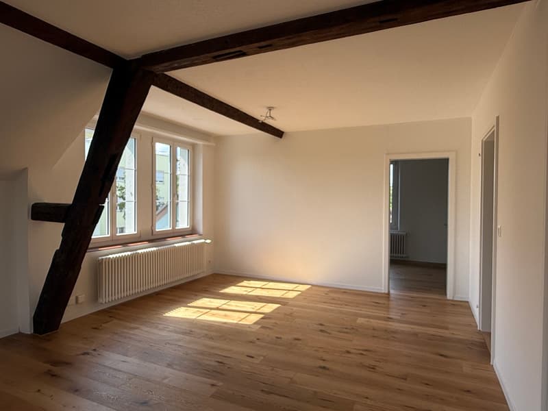 teilsanierte, schöne 3.5 Zimmer Altbauwohnung mit grossem Wohnzimmer (3)
