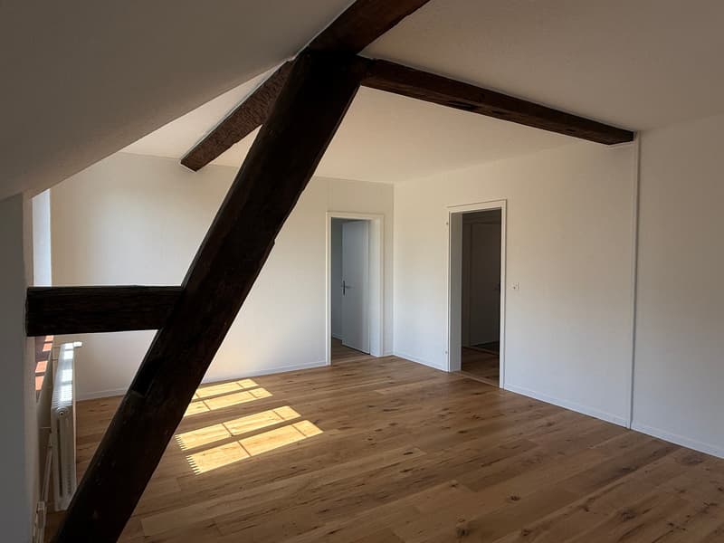 teilsanierte, schöne 3.5 Zimmer Altbauwohnung mit grossem Wohnzimmer (5)