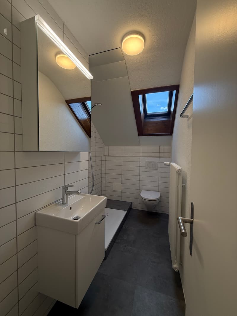 teilsanierte, schöne 3.5 Zimmer Altbauwohnung mit grossem Wohnzimmer (11)
