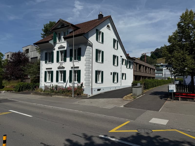 teilsanierte, schöne 3.5 Zimmer Altbauwohnung mit grossem Wohnzimmer (2)