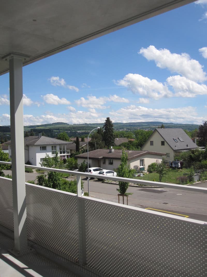 2019 renovierte 3 1/2 Zi-Wohnung mit grossem Balkon und Weitsicht (1)