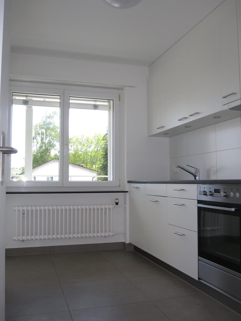 2019 renovierte 3 1/2 Zi-Wohnung mit grossem Balkon und Weitsicht (6)