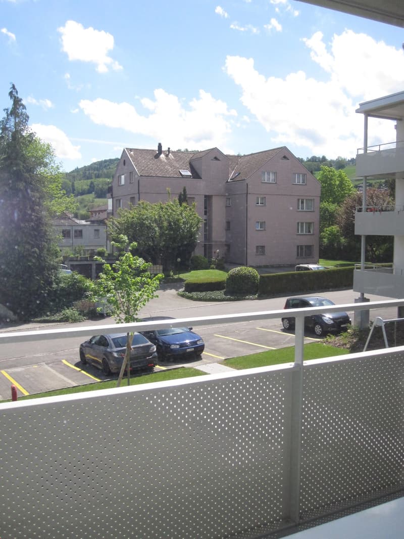 2019 renovierte 3 1/2 Zi-Wohnung mit grossem Balkon und Weitsicht (4)