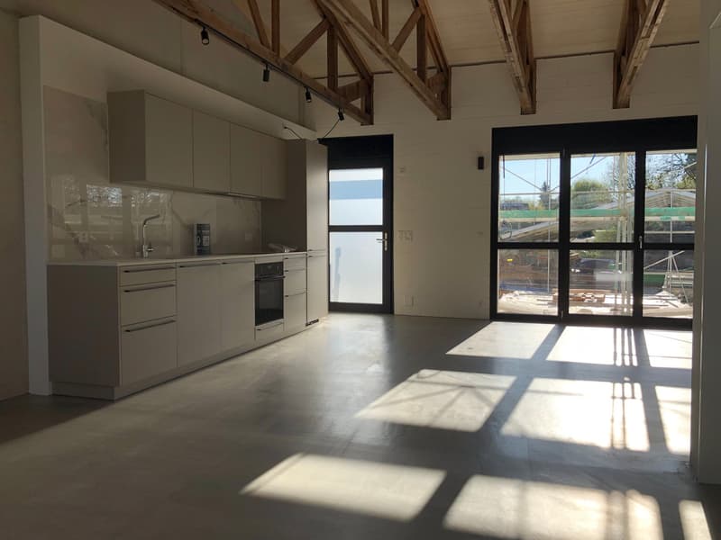 Loft Apartment mit teilw. ged. Sitzplatz/Balkon und West-Ausrichtung (4)