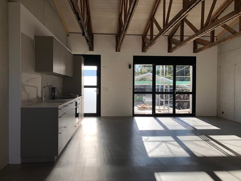 Loft Apartment mit teilw. ged. Sitzplatz/Balkon und West-Ausrichtung (2)