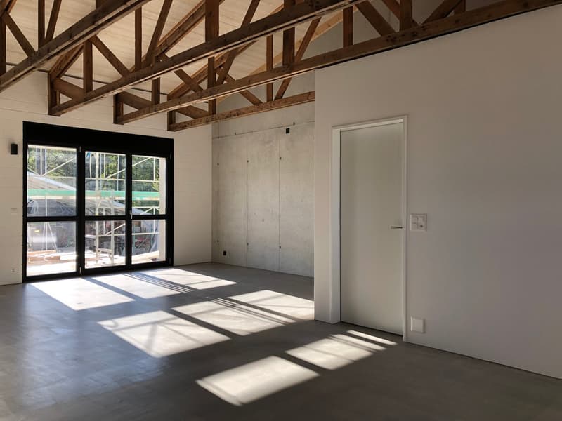 Loft Apartment mit teilw. ged. Sitzplatz/Balkon und West-Ausrichtung (3)