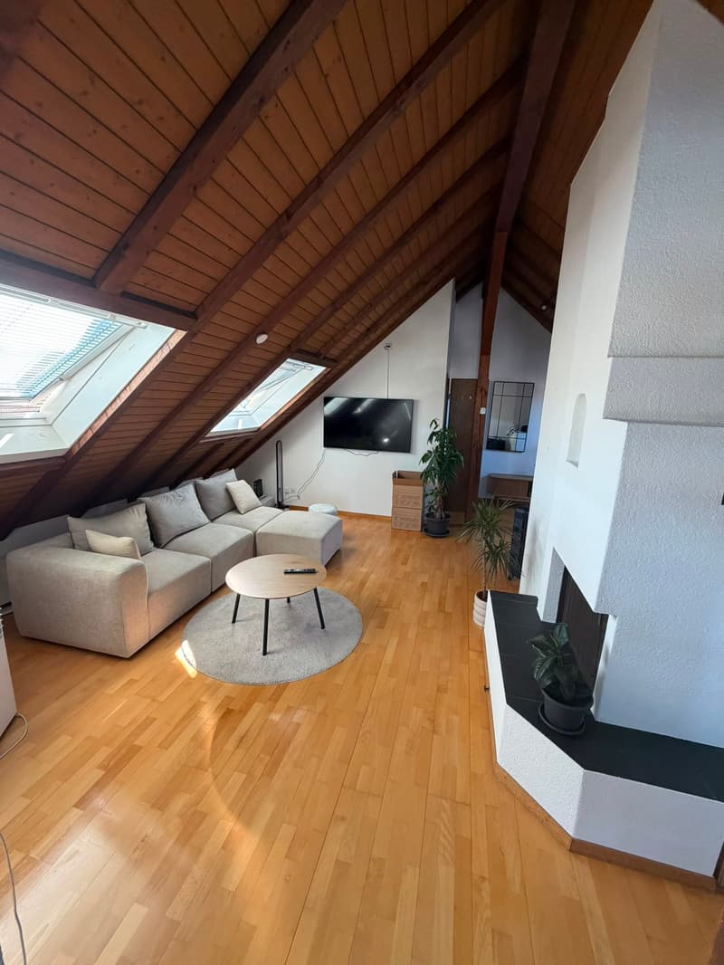 Dachwohnung mit Extras (1)