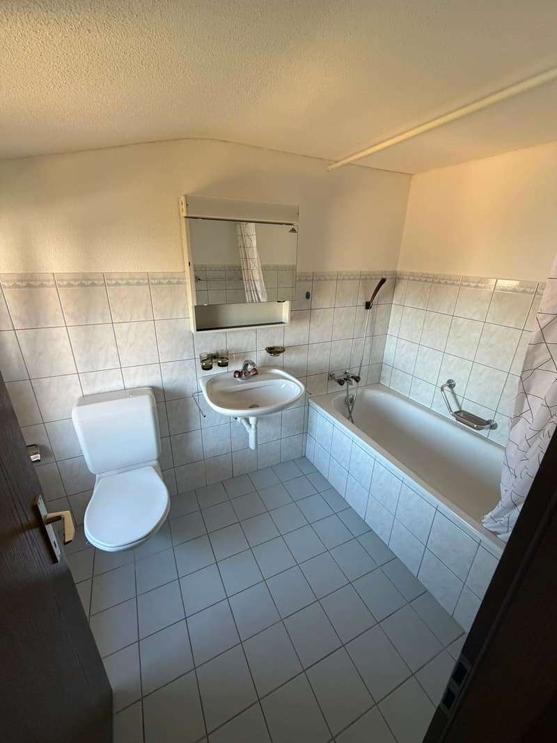 Dachwohnung mit Extras (12)