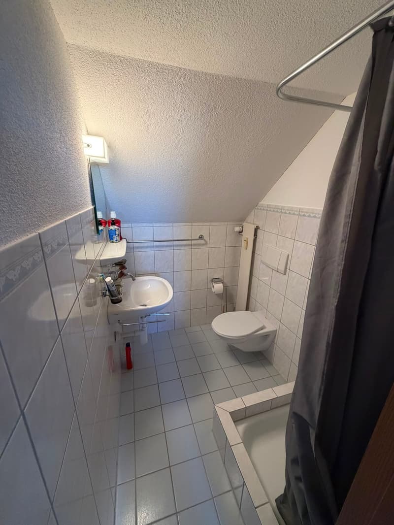 Dachwohnung mit Extras (11)