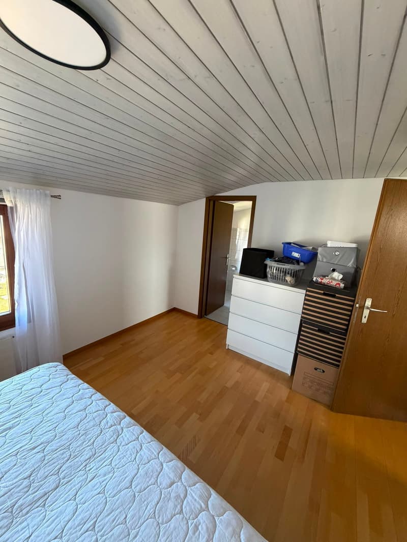 Dachwohnung mit Extras (6)