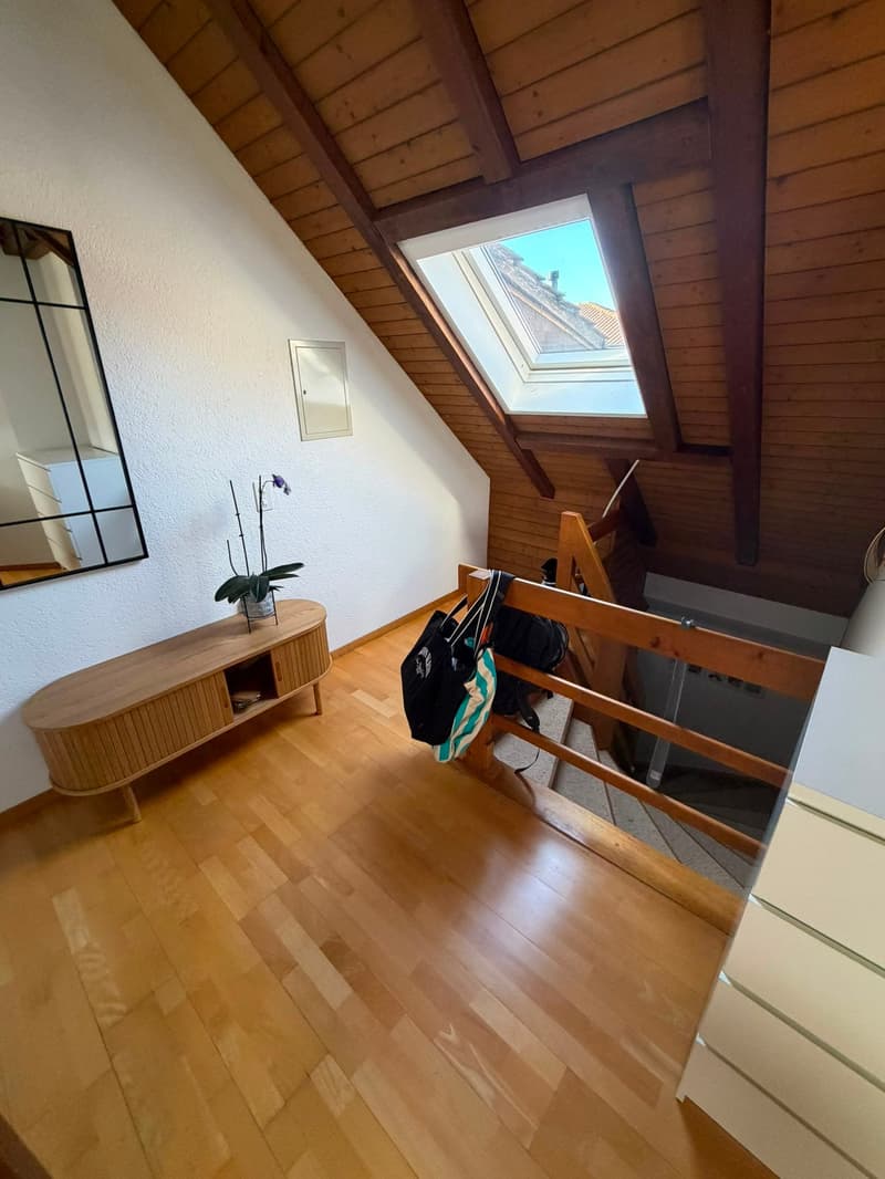 Dachwohnung mit Extras (2)