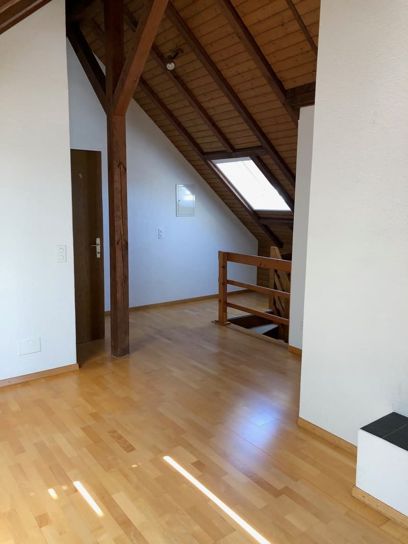 Dachwohnung mit Extras (4)