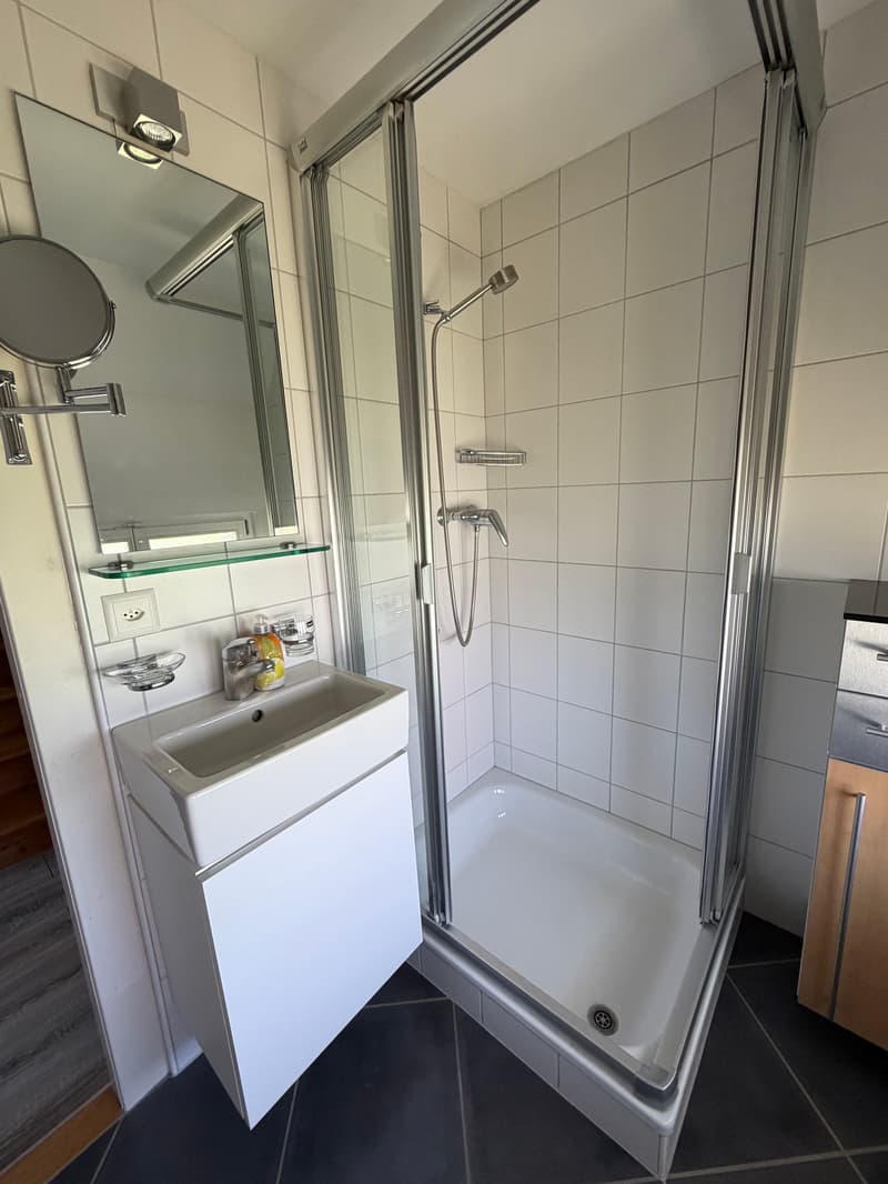 Charmantes Einfamilienhaus an sonniger Lage in Romanshorn (16)