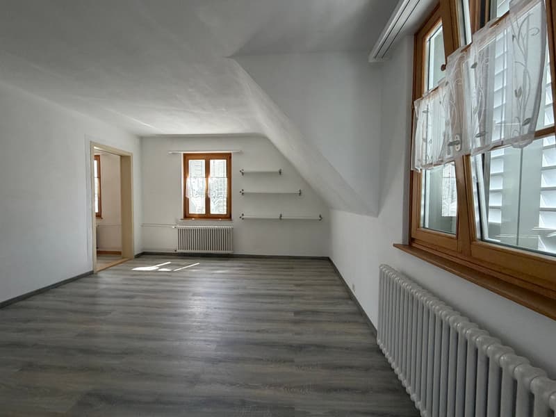 Charmantes Einfamilienhaus an sonniger Lage in Romanshorn (19)