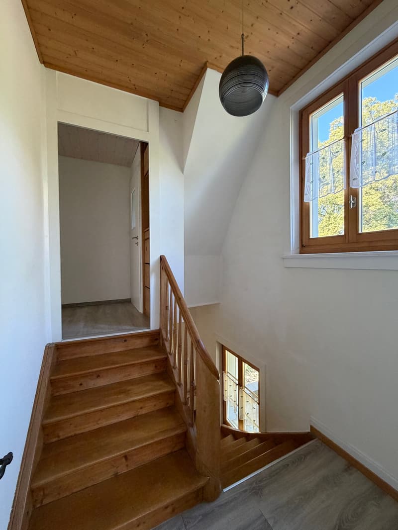 Charmantes Einfamilienhaus an sonniger Lage in Romanshorn (15)