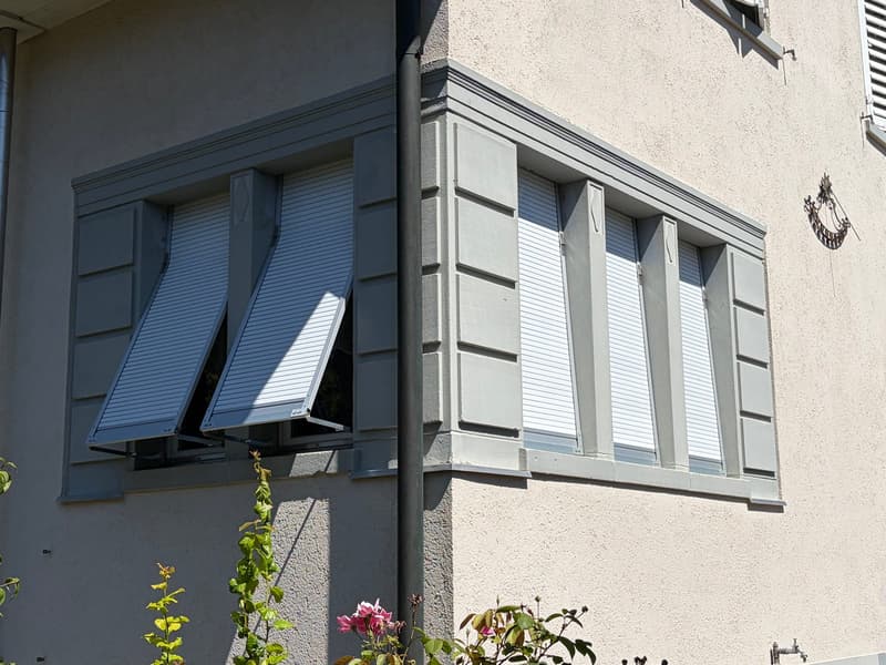 Charmantes Einfamilienhaus an sonniger Lage in Romanshorn (3)