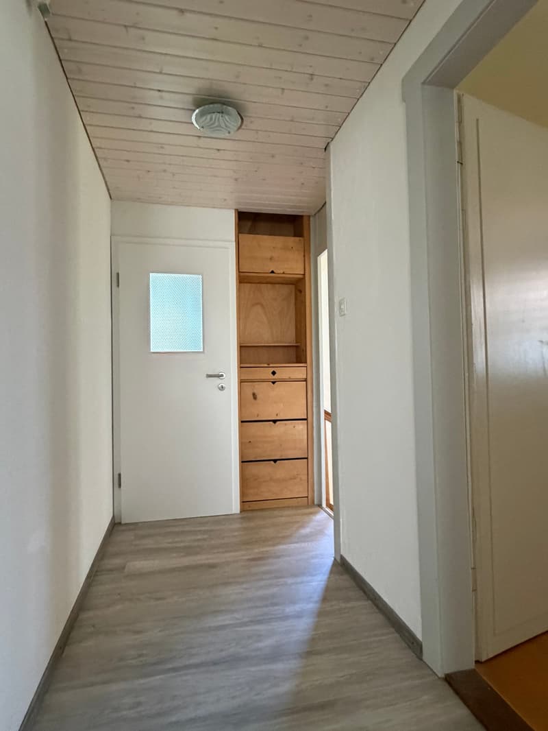 Charmantes Einfamilienhaus an sonniger Lage in Romanshorn (17)