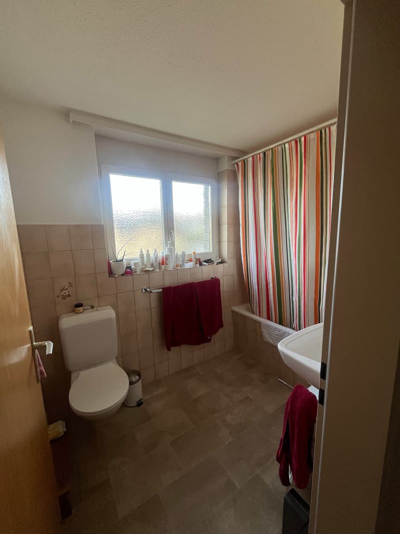 schöne 4 1/2 - Zimmerwohnung (6)