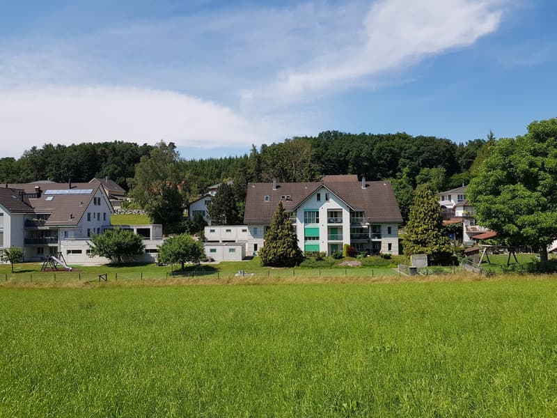 4 1/2-Zimmer Parterrewohnung am Dorfbach (2)
