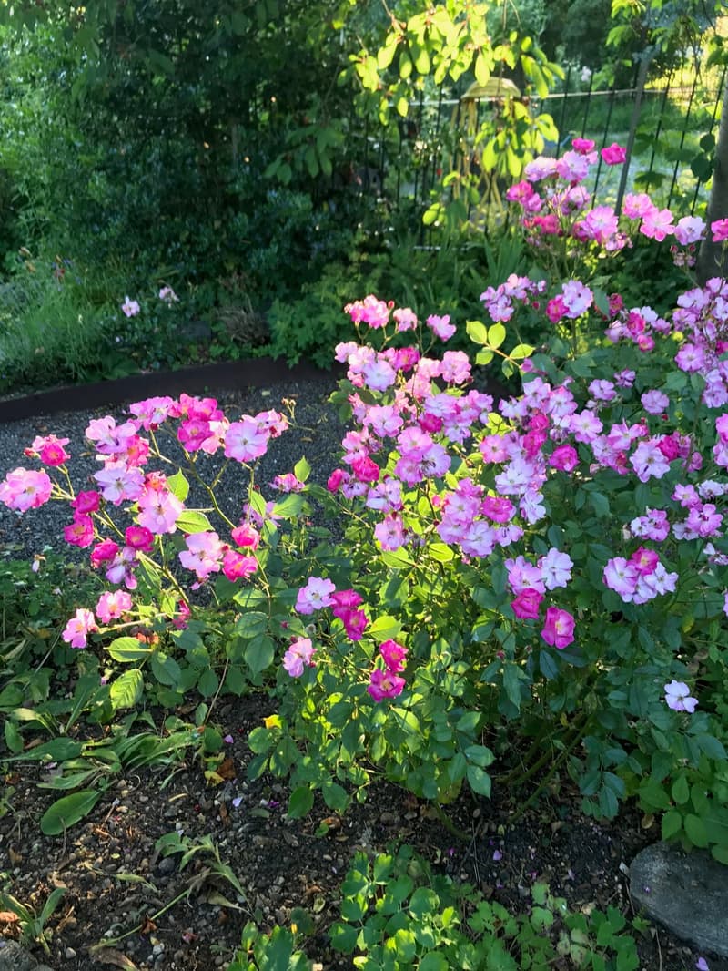 Altstadtflair & Grosszügigkeit – Wohnen in der historischen „Felsenburg“ mit Gartenbenutzung (15)