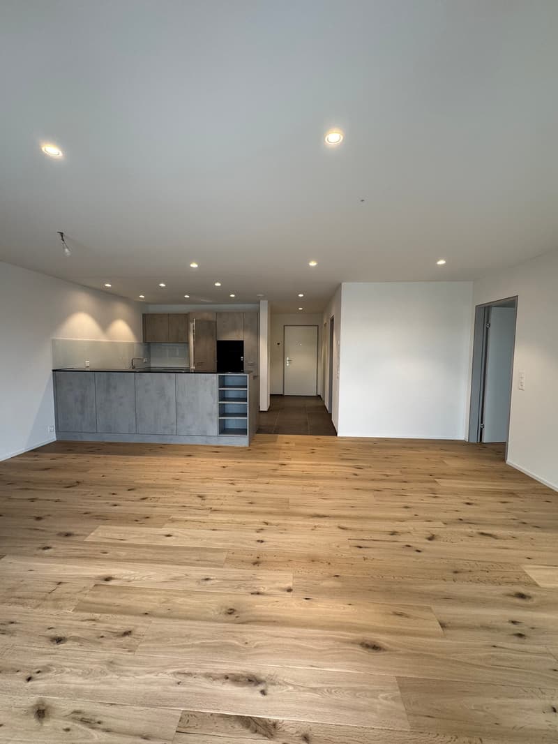 2 1/2 Zimmerwohnung im Eigentumsstandard (3)