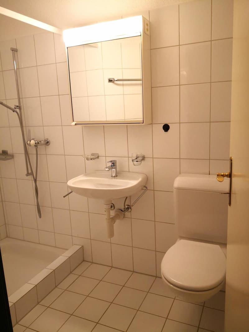 4 1/2-Zimmer Eigentumswohnung im ruhigen Quartier (5)