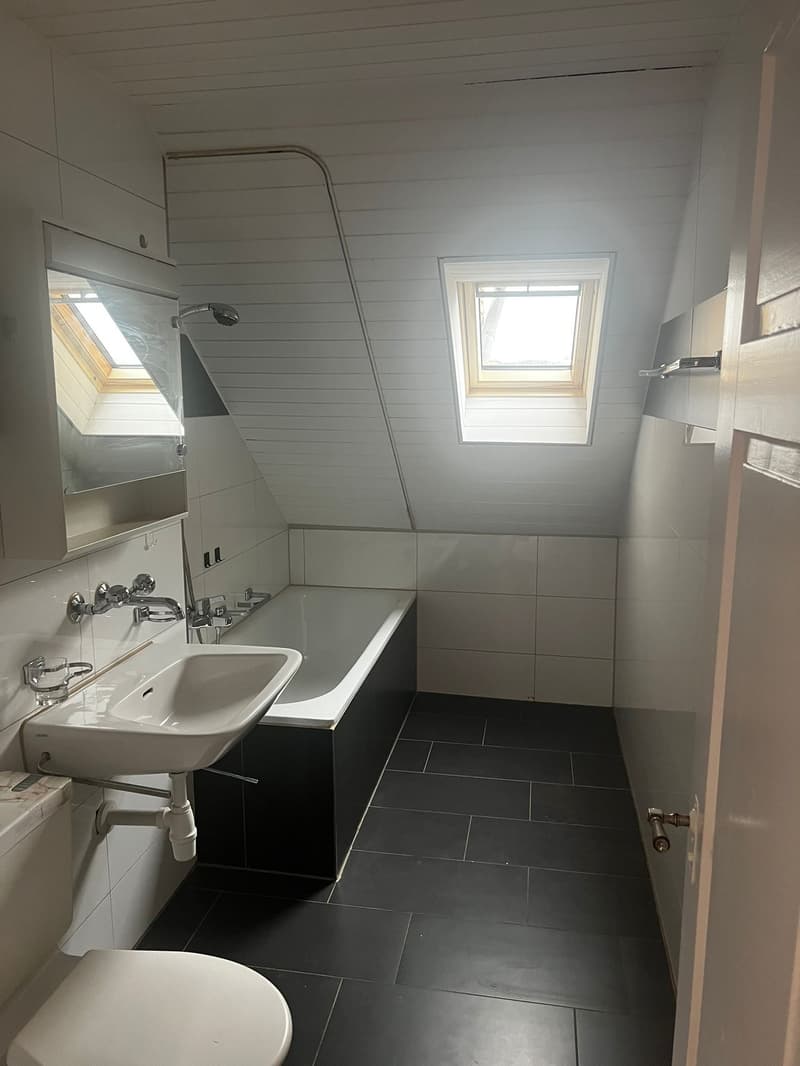 Bathroom with bathtub, sink, toilet, and two skylights
