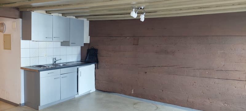 1-Zimmer-Wohnung in zentraler Lage von Arbon (4)