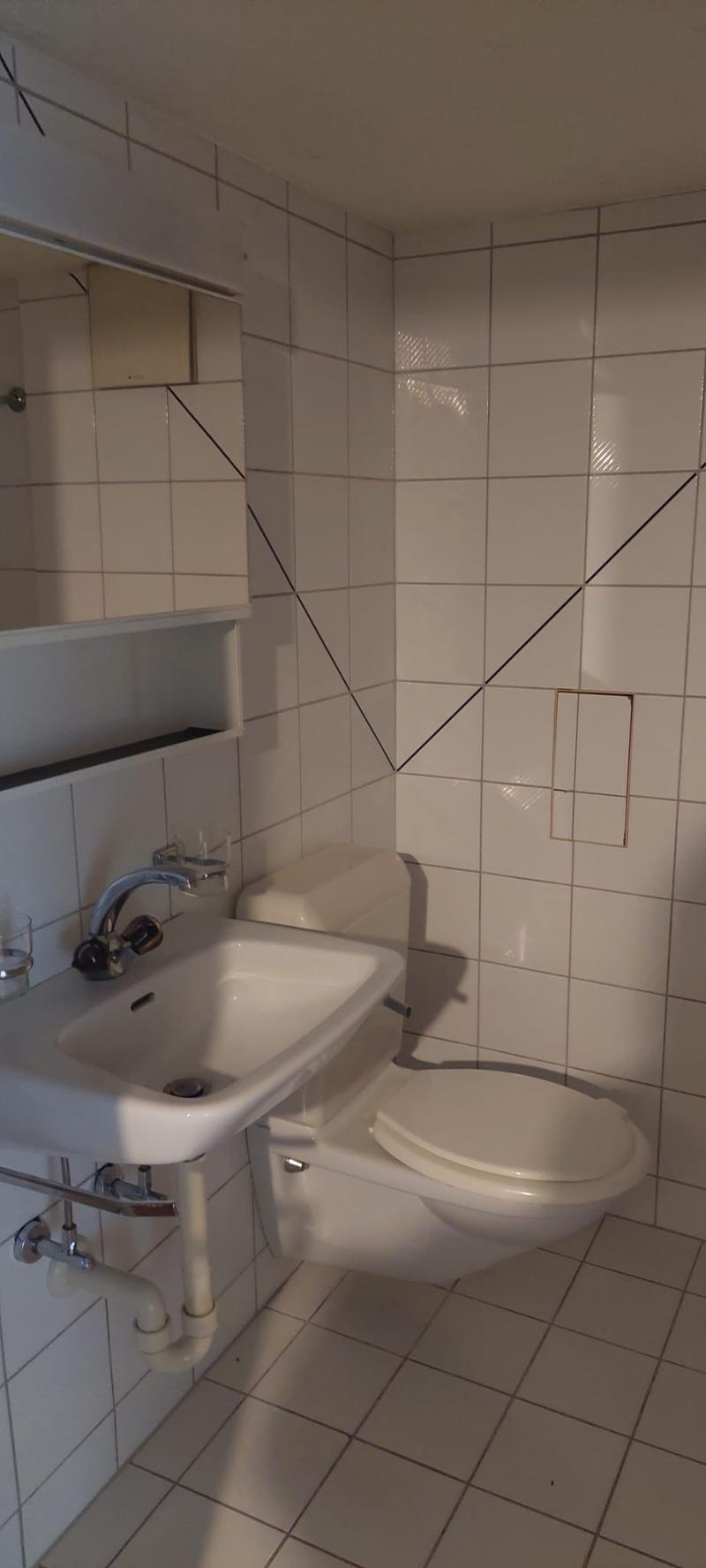 1-Zimmer-Wohnung in zentraler Lage von Arbon (5)