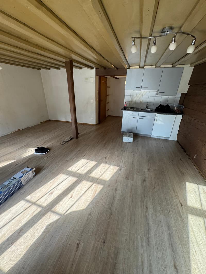 1-Zimmer-Wohnung in zentraler Lage von Arbon (3)