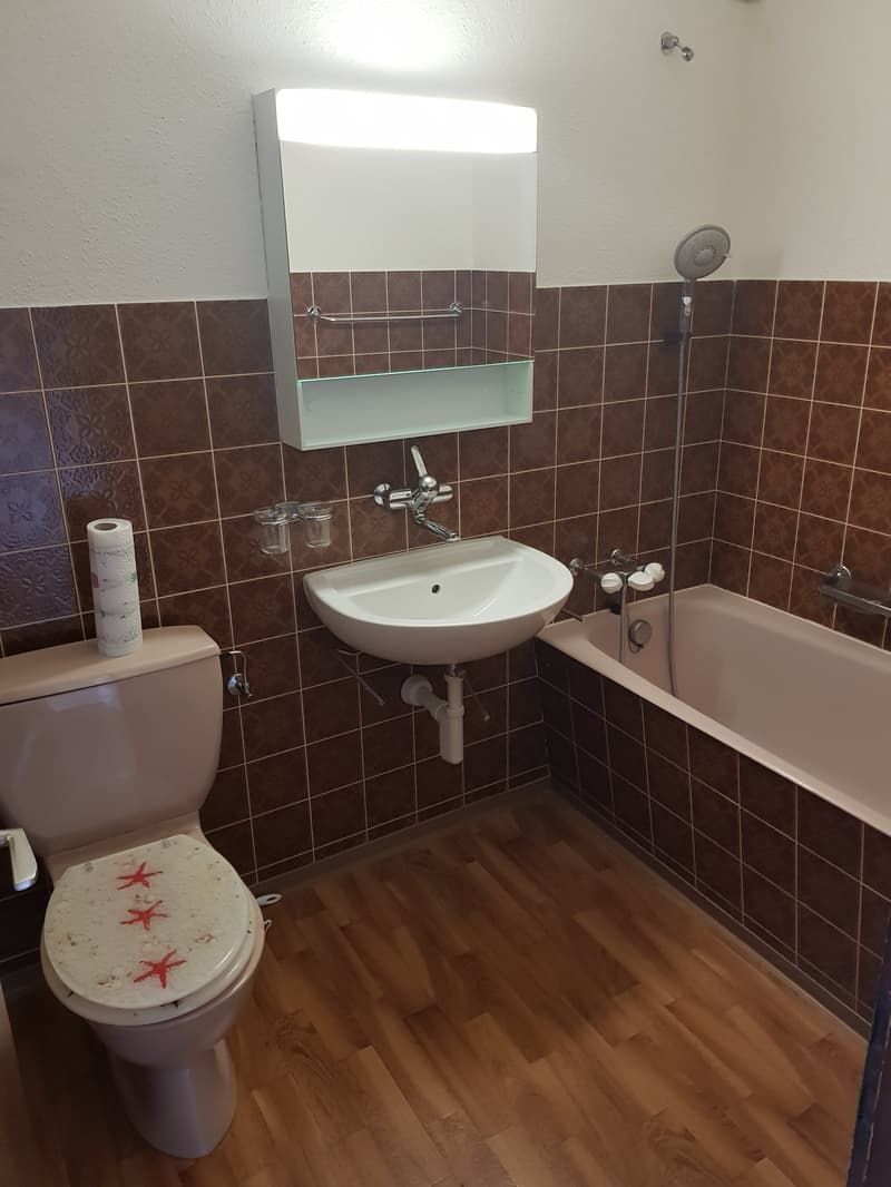 gemütliche 1.5 Zimmer Wohnung mit grossem Balkon (3)
