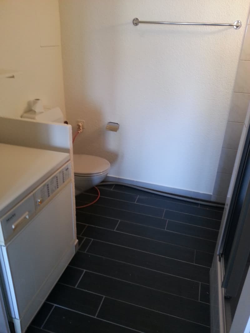 1-Zimmer-Wohnung in Niederwil zu vermieten (4)